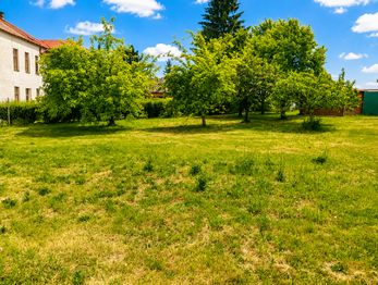 Prodej pozemku 999 m², Olešnice