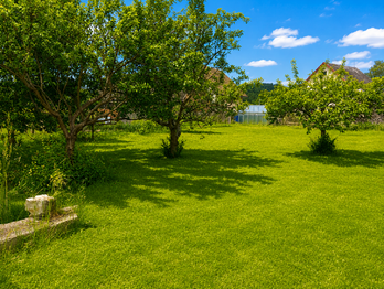 Prodej pozemku 999 m², Olešnice