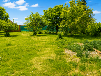 Prodej pozemku 999 m², Olešnice