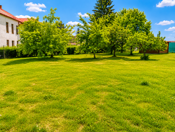 Prodej pozemku 999 m², Olešnice