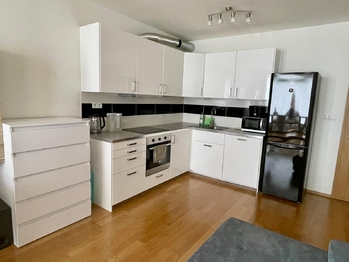 Pronájem bytu 1+kk v osobním vlastnictví 41 m², Praha 7 - Holešovice