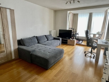 Pronájem bytu 1+kk v osobním vlastnictví 41 m², Praha 7 - Holešovice