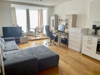Pronájem bytu 1+kk v osobním vlastnictví 41 m², Praha 7 - Holešovice