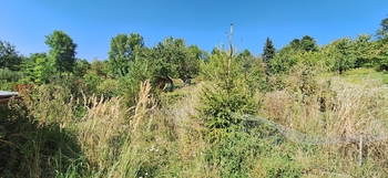 Zahrada - Prodej domu 81 m², Rousínov