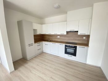 Pronájem bytu 3+kk v osobním vlastnictví 90 m², Plzeň