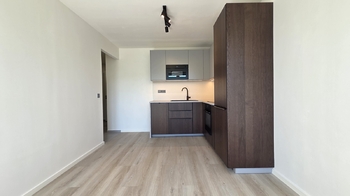 Pronájem bytu 2+kk v osobním vlastnictví 40 m², Praha 8 - Karlín