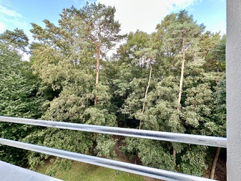 Prodej bytu 3+1 v osobním vlastnictví 74 m², Kladno
