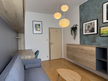 Pronájem bytu 2+1 v osobním vlastnictví 56 m², Plzeň