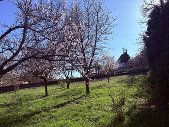 Prodej domu 236 m², Libčice nad Vltavou