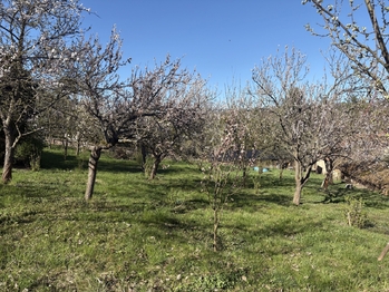 Prodej domu 236 m², Libčice nad Vltavou