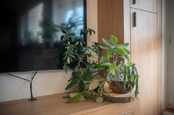Prodej bytu 4+1 v osobním vlastnictví 88 m², Praha 5 - Košíře