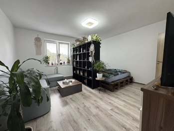 Pronájem bytu 3+1 v osobním vlastnictví 62 m², Děčín