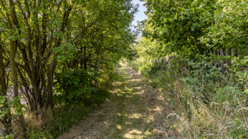 Prodej pozemku 2003 m², Svojkov
