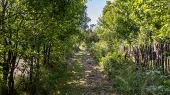 Prodej pozemku 2003 m², Svojkov