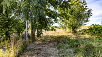 Prodej pozemku 2003 m², Svojkov