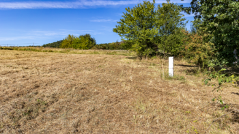 Prodej pozemku 2003 m², Svojkov