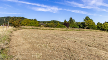 Prodej pozemku 2003 m², Svojkov