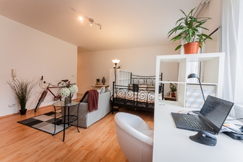 Pronájem bytu 1+kk v osobním vlastnictví 41 m², Praha 3 - Žižkov