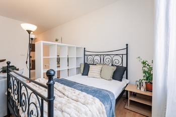 Pronájem bytu 1+kk v osobním vlastnictví 41 m², Praha 3 - Žižkov