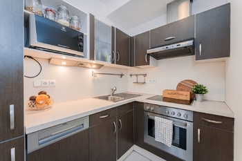 Pronájem bytu 1+kk v osobním vlastnictví 41 m², Praha 3 - Žižkov