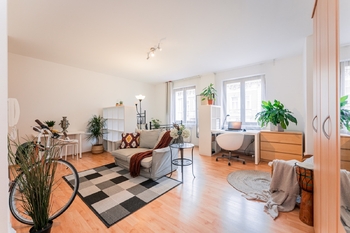 Pronájem bytu 1+kk v osobním vlastnictví 41 m², Praha 3 - Žižkov