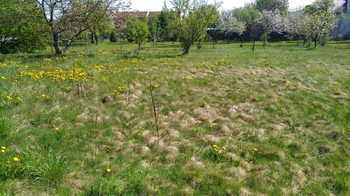 Prodej pozemku 1350 m², Mikulovice