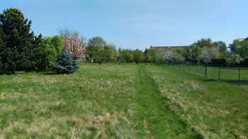 Prodej pozemku 1350 m², Mikulovice