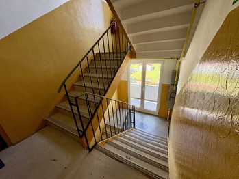 Prodej bytu 3+1 v družstevním vlastnictví 64 m², Těšovice