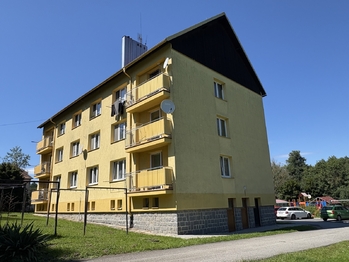 Prodej bytu 3+1 v družstevním vlastnictví 64 m², Těšovice