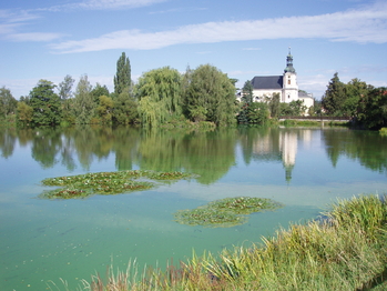 Prodej pozemku 903 m², Obořiště