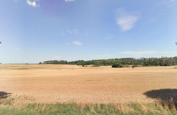 Prodej pozemku 11593 m², Chornice