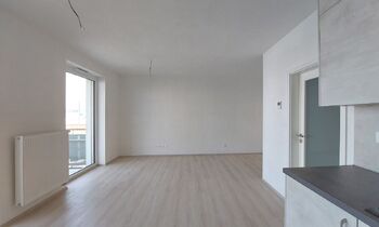 Pronájem bytu 1+kk v osobním vlastnictví 46 m², Plzeň