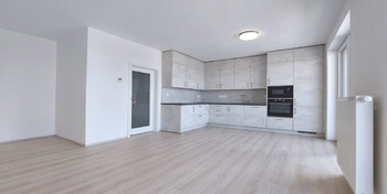 Pronájem bytu 1+kk v osobním vlastnictví 45 m², Plzeň