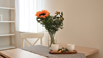 Pronájem bytu 1+kk v osobním vlastnictví 38 m², Brno