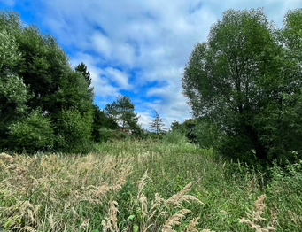 Prodej domu 179 m², Křižanov
