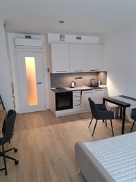 Pronájem bytu 1+kk v osobním vlastnictví 33 m², Praha 3 - Žižkov