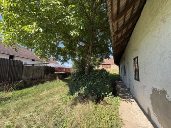 zahrada před domem - Prodej domu 166 m², Losiná