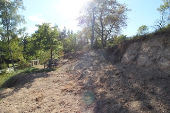Prodej chaty / chalupy 24 m², Družec