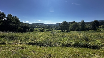 Prodej pozemku 17502 m², Nezdice na Šumavě