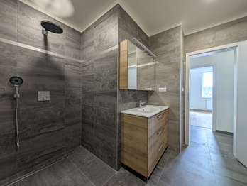 Pronájem bytu 3+kk v osobním vlastnictví 98 m², Praha 10 - Vršovice