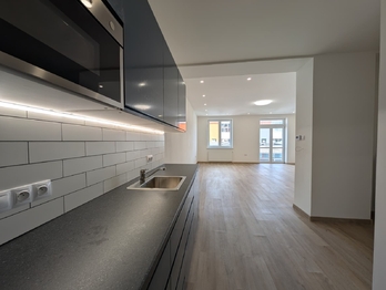 Pronájem bytu 1+kk v osobním vlastnictví 56 m², Praha 10 - Vršovice