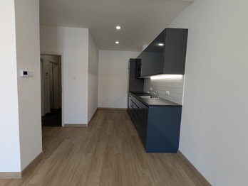 Pronájem bytu 1+kk v osobním vlastnictví 56 m², Praha 10 - Vršovice