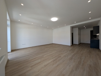 Pronájem bytu 1+kk v osobním vlastnictví 56 m², Praha 10 - Vršovice