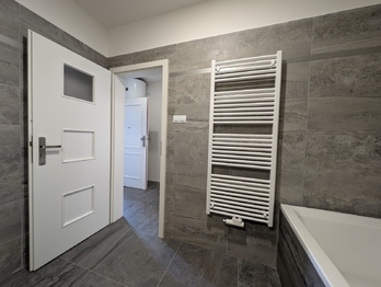 Pronájem bytu 1+kk v osobním vlastnictví 56 m², Praha 10 - Vršovice