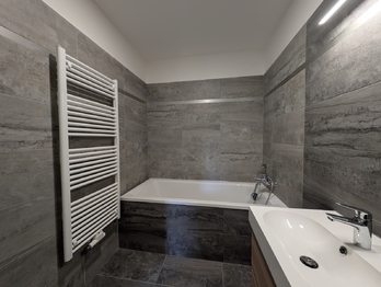Pronájem bytu 1+kk v osobním vlastnictví 56 m², Praha 10 - Vršovice