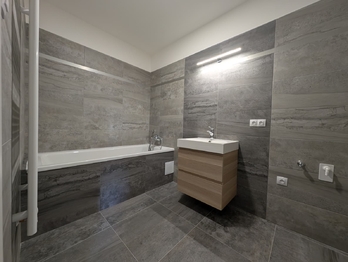 Pronájem bytu 1+kk v osobním vlastnictví 56 m², Praha 10 - Vršovice