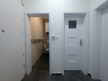 Pronájem bytu 1+kk v osobním vlastnictví 56 m², Praha 10 - Vršovice