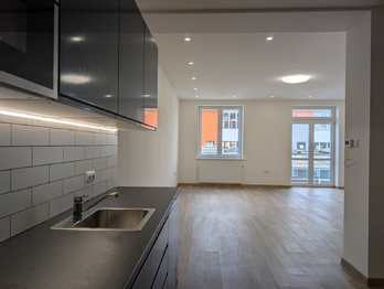 Pronájem bytu 1+kk v osobním vlastnictví 56 m², Praha 10 - Vršovice