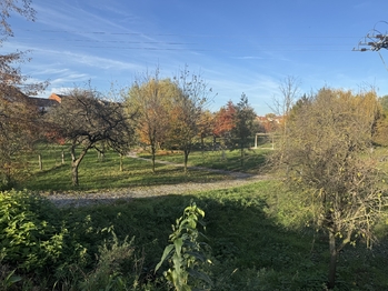 Prodej domu 278 m², Spytihněv