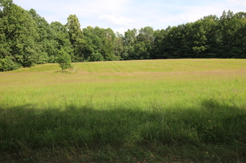 Prodej pozemku 48192 m², Frýdlant